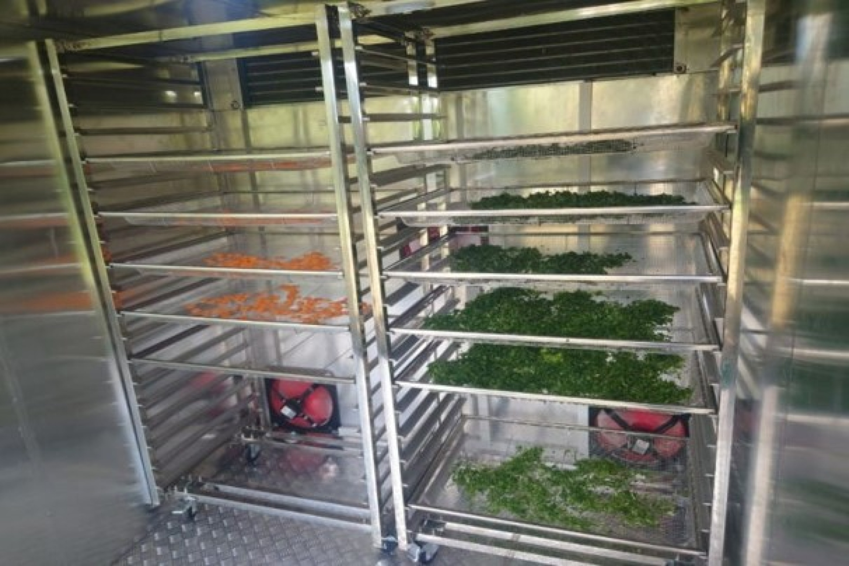 solar-dryer-3-large.jpg